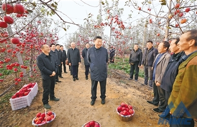 習(xí)近平在陜西延安和河南安陽考察時強(qiáng)調(diào) 全面推進(jìn)鄉(xiāng)村振興 為實(shí)現(xiàn)農(nóng)業(yè)農(nóng)村現(xiàn)代化而不懈奮斗 丁薛祥陪同考察